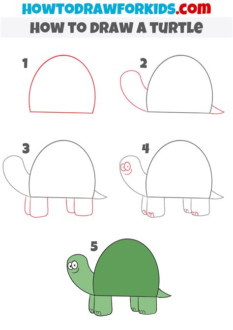 How to Draw a Turtle for Kindergarten - Easy Tutorial For Kids