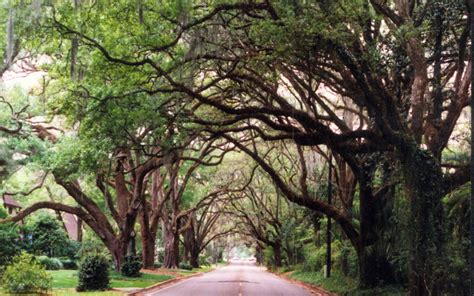 The Top Things to Do Near Marion County, Florida! - Secure Built, LLC ...