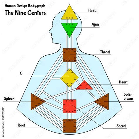 Human Design Chart, or BodyGraph, with the nine colored energy centers, vector illustration ...