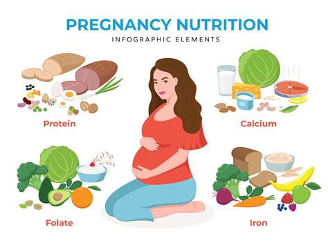 Pregnancy Nutrition