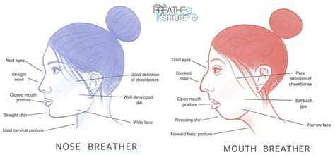 Mouth Breathing In Children & Adults | Restoring nasal breathing | Tongue