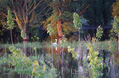 Danube Delta Romania scenery - Romania Photo (35216098) - Fanpop