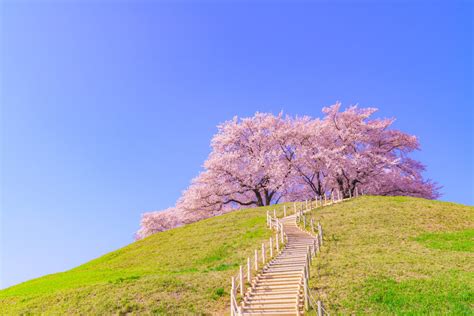 埼玉へドライブに出かけよう！人気の立ち寄りスポットで観光・絶景・グルメを満喫 - PREMIUM OUTLETS TIMES