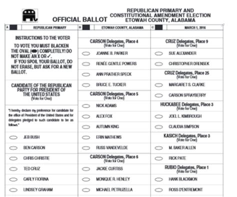 5 Types Of Ballots For The 2024 Election Vector 2024 - vrogue.co