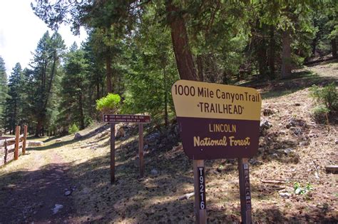 Southern New Mexico Explorer: Thousand Mile Canyon Trail ( FT 9216) Lincoln National Forest