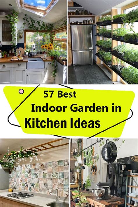 the best indoor garden in kitchen ideas