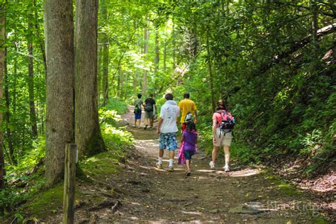 Big Creek Trail - Great Smoky Mountains National Park