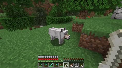 Taming Wolf In Minecraft With 3 Easy Steps - Game Specifications