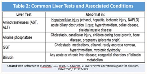 Elevated Liver Enzymes: ED-focused Management Pearls & Pitfalls - emdocs