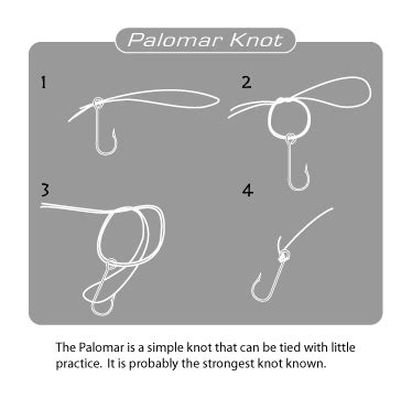 The Palomar Knot the knot of choice for braided lines | Palomar knot, Strong knots, Braided line