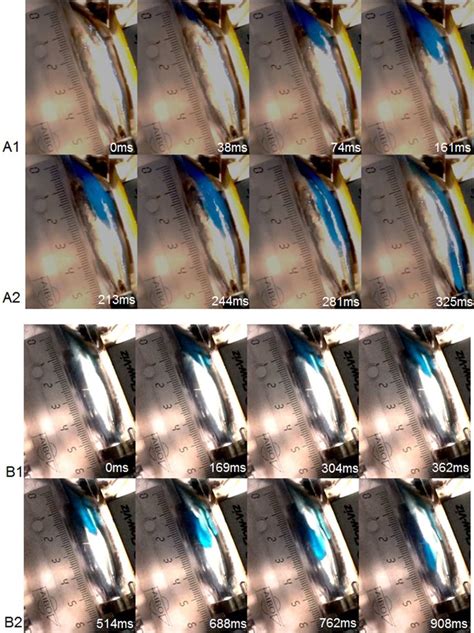 Photographic image sequences of bolus ejection with time for boluses ...