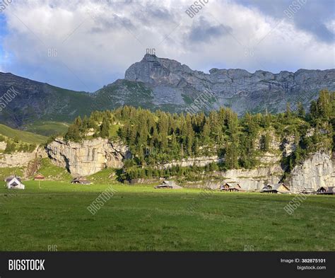 Evergreen Forest Image & Photo (Free Trial) | Bigstock