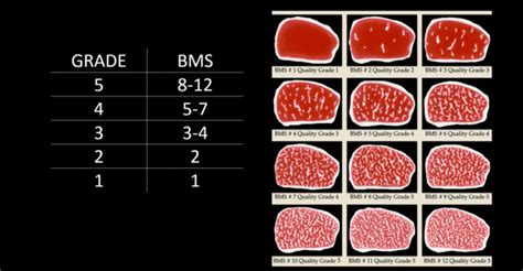 A5 JAPANESE WAGYU BEEF GRADING - Kai Wagyu