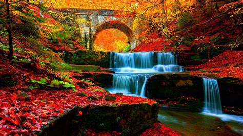 free fall wallpaper backgrounds for laptops Fall bing backgrounds desktop autumn wallpaper lake ...