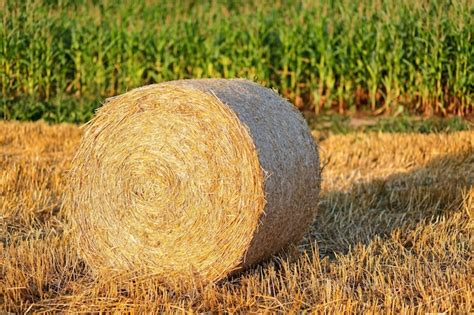 Premium Photo | Hay bail harvesting in golden field landscape