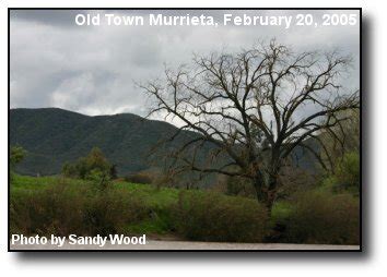 Murrieta Weather Photos and Features