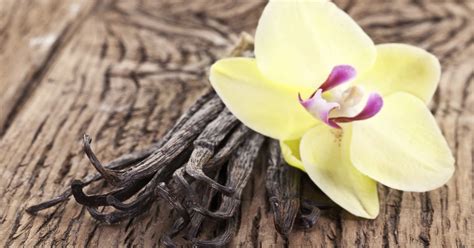 What Are the Health Benefits of Vanilla Extract? | LIVESTRONG.COM