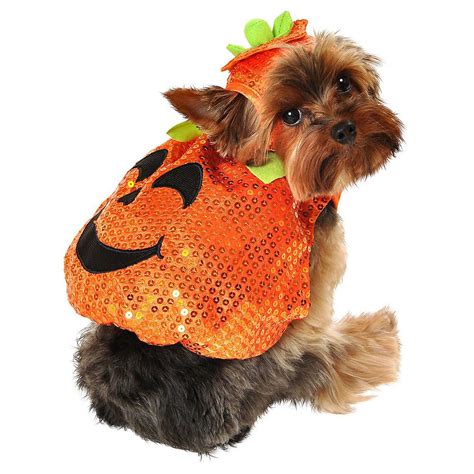 Pin on Pets costumes