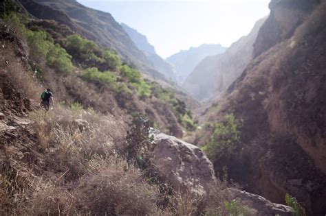 What's your mule? Trekking Colca Canyon in Peru. • Choosing Figs