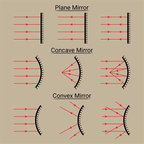 How To Draw A Ray Diagrams For Convex Mirrors Convex - vrogue.co