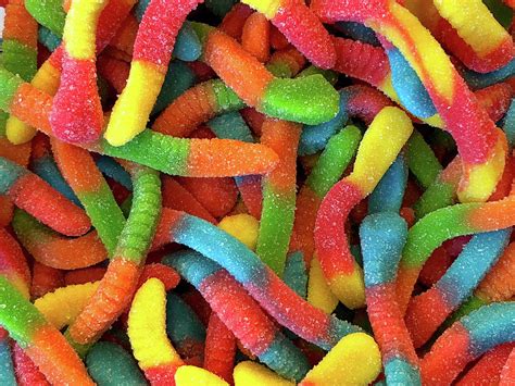 Sweet and Sour Gummy Worms Photograph by Sheila Fitzgerald