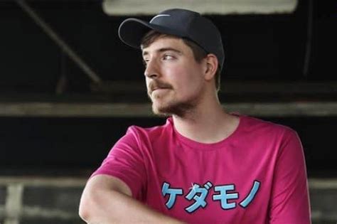 MrBeast Flags a Green Light for YouTuber Hank Green’s ‘Noble ...