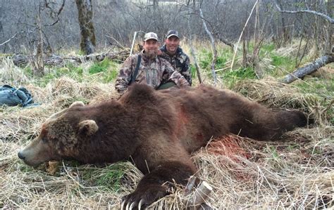 KODIAK BEAR HUNTS | Hunt Alaska Outfitters