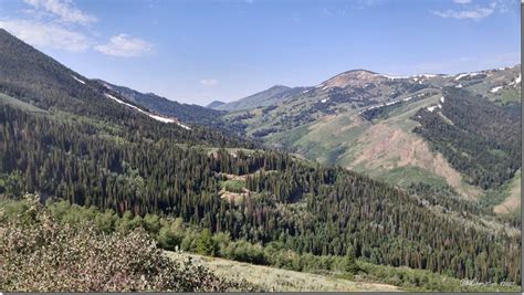 Jarbidge Archives - Wild Mountain Echoes