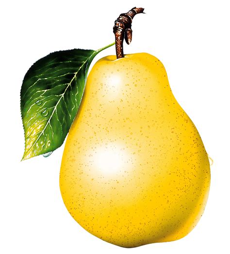 Ripe yellow pear PNG image