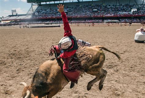 The Rodeo: Bull Riding - Cheyenne Frontier Days