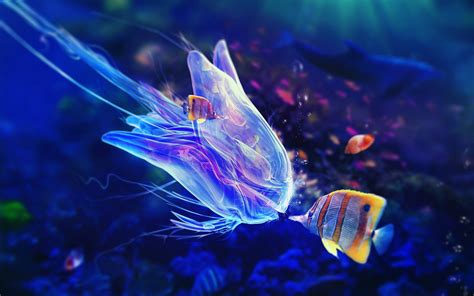 jellyfish, Animals, Underwater, Sea, Fish, Colorful Wallpapers HD / Desktop and Mobile Backgrounds