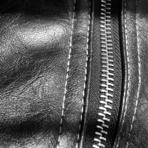 Zipper Leather (1) Free Stock Photo - Public Domain Pictures