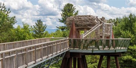 The Wild Center In Tupper Lake: What To Know Before You Visit - Adventure Family Travel ...