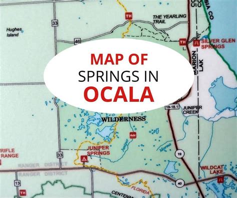 8 Gorgeous Springs in Ocala for Fun Outdoors!