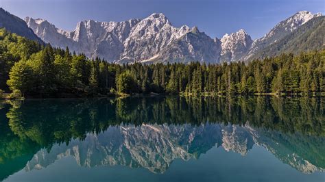 Reflection Of California Forest Mountain On Lake Water In Yosemite ...