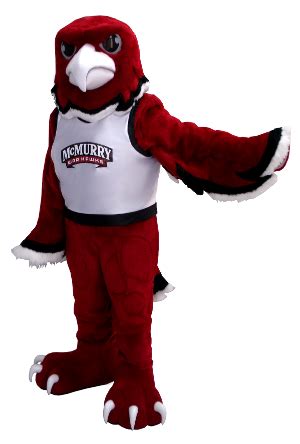 This is the Warhawk mascot we made for McMurry University! | Mascot design, Mascot, Animal ...