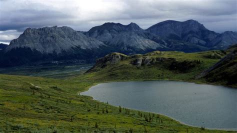 How Soon Can Oil and Gas Operations Begin in the ANWR?