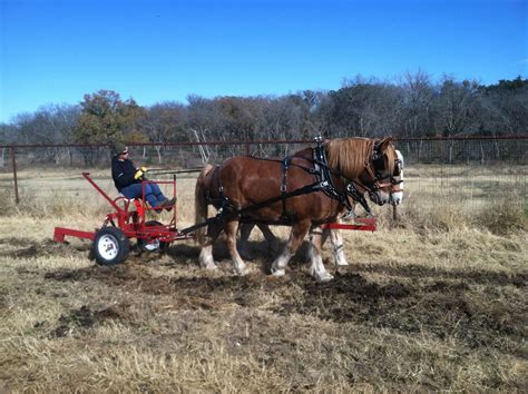 Plowing with Draft Horses | Horses, Draft horses, Animals