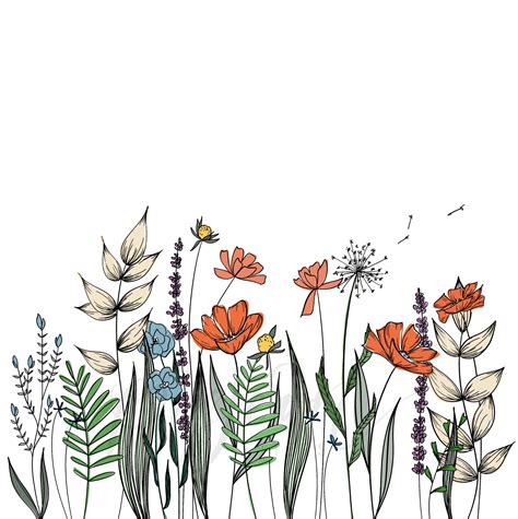 Pin by Dyan Rader on Fresco. | Wildflower drawing, Flower drawing ...