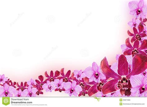 flower design - - Yahoo Image Search Results | Flower designs, Border design, Orchids