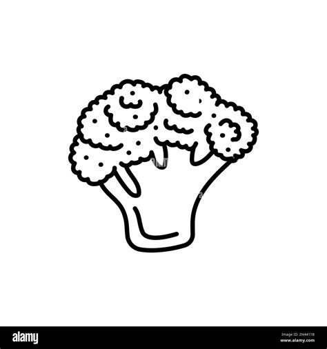 Broccoli color line icon. Healthy food. Vegetarian product Stock Vector Image & Art - Alamy