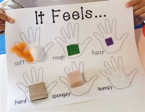 Sense Of Touch Craft | Senses preschool, Preschool activities, Preschool crafts