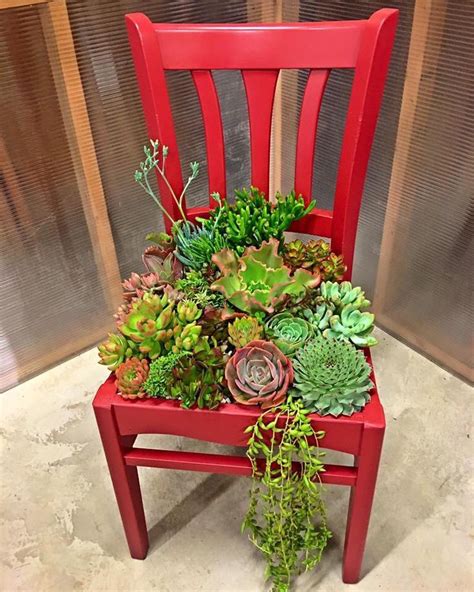 a red chair filled with succulents and plants
