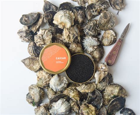 White Sturgeon Caviar 100g - Island Creek Oysters | Buy Oysters Online