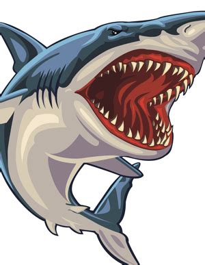 Free Shark Attack Cliparts, Download Free Shark Attack Cliparts png images, Free ClipArts on ...