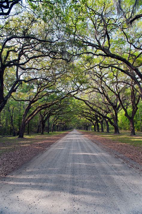 Historic plantation house and estate, … – License image – 70468145 lookphotos