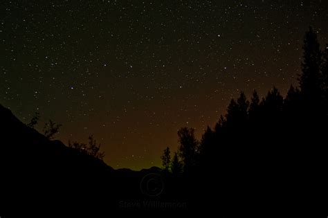 Steve Williamson Wildlife Photography | Northern Lights