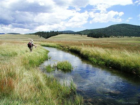 Small Scale Trout Farming: Home Based Fish Farms | WorldWide Aquaculture