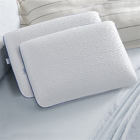 Sleep Innovations Forever Cool Gel Memory Foam Standard Pillow with ...