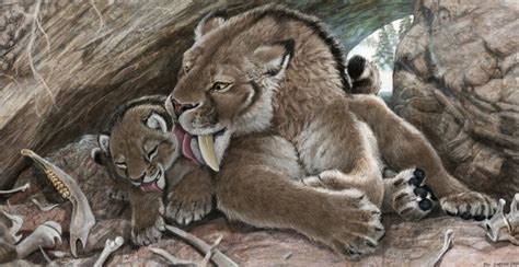 Saber-tooth Kittens Were Big-boned | HowStuffWorks